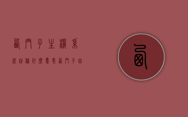 西门子主机系统自检什么意思（西门子自动报警主机），西门子主机系统自检与自动报警主机功能解析