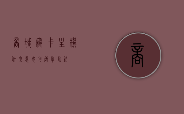 商城无卡主机什么意思的简单介绍，商城无卡主机的概念简介，商城无卡主机的概念简介与介绍