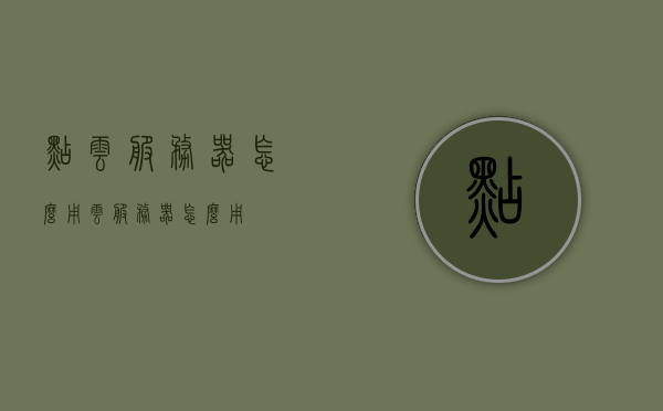 点云服务器怎么用（云服务器怎么用?），点云服务器的使用指南，从入门到精通！，点云服务器使用指南，从入门到精通，轻松掌握云服务器操作技巧！，点云服务器使用指南，从入门到精通，轻松掌握操作技巧！ 第1张