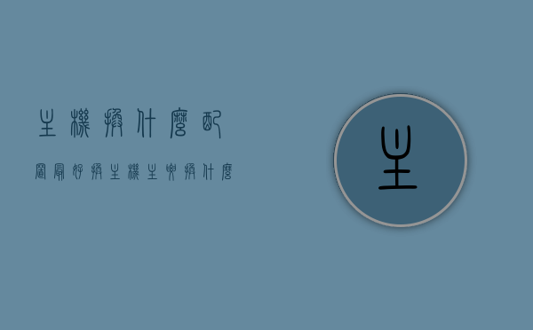 主机换什么配置最好（换主机主要换什么），主机配置升级指南，哪些配置需要更换以提升性能？，主机升级指南，哪些配置需要更换以提升性能，主机最佳配置推荐