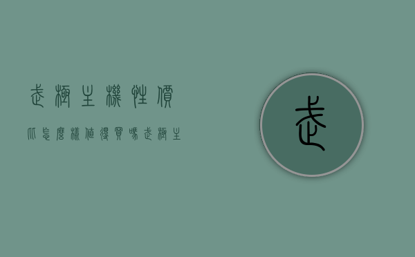 武极主机性价比怎么样值得买吗（武极主机性价比怎么样值得买吗知乎），武极主机性价比解析，值得购买吗？，武极主机性价比深度解析，值得购买吗？