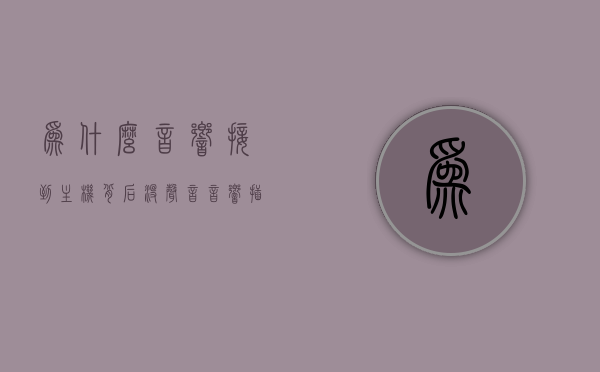 为什么音响接到主机背后没声音（音响插在主机上没有声音是怎么回事），音响接主机背后无声，原因解析与排查方法，音响接主机无声，原因解析、排查方法与解决方案，音响接主机无声，原因解析、排查方法与解决方案全攻略 第1张