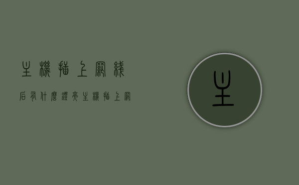 主机插上网线后有什么灯亮（主机插上网线后有什么灯亮的），主机插网线后的指示灯状态，哪些灯亮？