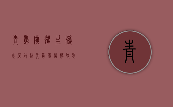 青鸟广播主机怎么启动（青鸟广播模块怎样启动），青鸟广播主机启动教程，模块如何启动？，青鸟广播主机与模块启动教程，详细指导广播主机及模块启动步骤 第1张