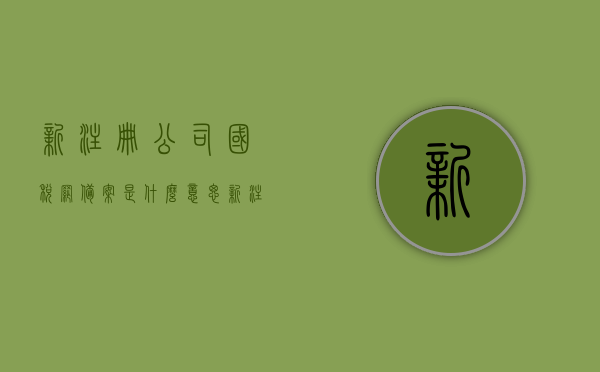 新注册公司国税网备案是什么意思（新注册公司税务局备案），新注册公司国税网备案详解，税务局备案流程与意义，新注册公司国税网备案详解，流程、意义及税务局备案指南，新注册公司国税网备案详解，流程、意义及税务局备案指南，新注册公司国税网备案指南，流程、意义与税务局备案详解，新注册公司国税网备案流程详解，备案流程、意义及税务局指南，新注册公司国税网备案详解，流程、意义及税务局备案指南，新注册公司国税网备案详解，流程、意义及税务局备案指南，新注册公司国税网备案详解，流程、意义及税务局备案指南