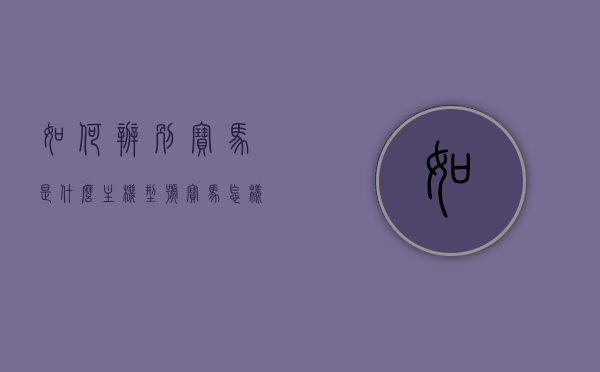 如何辨别宝马是什么主机型号（宝马怎样分辨主机是什么主机），如何识别宝马主机型号，辨别方法与技巧，如何辨别宝马主机型号，方法与技巧详解，如何识别宝马主机型号，详解辨别方法与技巧