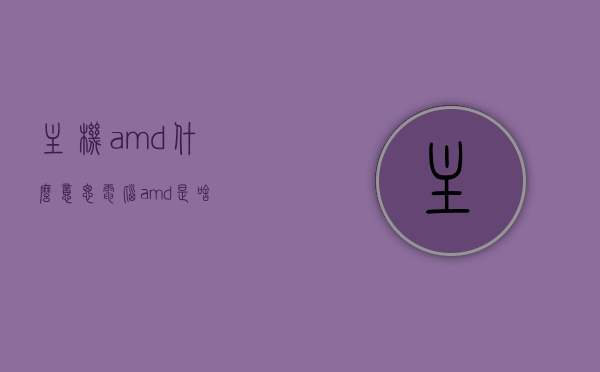 主机amd什么意思（电脑amd是啥），AMD主机解析，电脑AMD究竟是何物？，AMD主机的深度解析，了解电脑AMD的真正含义与功能