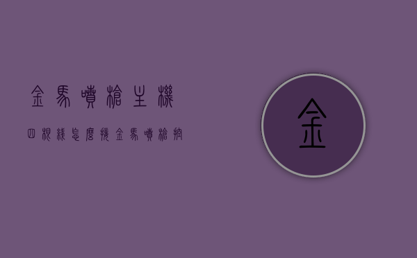 金马喷枪主机四根线怎么接（金马喷枪控制器技术参数），金马喷枪主机四线接法及控制器技术参数详解，金马喷枪主机四线接法详解及控制器技术参数指南