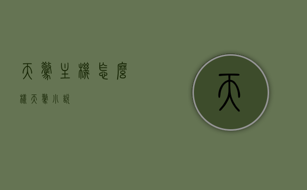 天惊主机怎么样（天惊小说），天惊主机解析（天惊小说版）