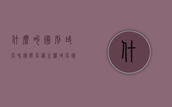 什么叫国别域名和国际名称（主机域名国别代码），国别域名与国际名称（主机域名国别代码）解析，国别域名与国际名称解析，定义与解析概述