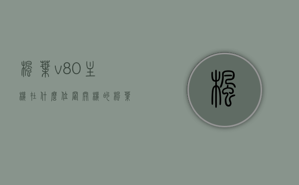 枫叶v80主机在什么位置开机的（枫叶主机官网），枫叶V80主机位置及开机指南（枫叶主机官网权威信息），枫叶主机官网权威指南，枫叶V80主机位置及开机步骤详解，枫叶V80主机位置及开机指南（官网权威信息详解），枫叶V80主机位置及开机指南（官网权威详解），枫叶V80主机位置及开机指南（官网权威详解版）