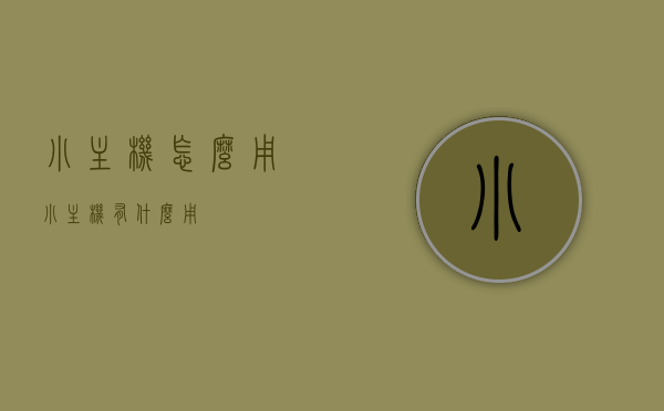 小主机怎么用（小主机有什么用），小主机使用指南，功能与应用全解析