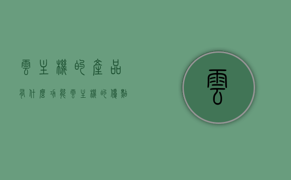 云主机的产品有什么功能（云主机的优点），云主机产品功能解析与优势概览