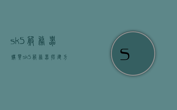 sk5服务器购买（sk5服务器搭建方法），SK5服务器购买与搭建指南，SK5服务器购买与搭建全指南，从选购到配置一步到位！