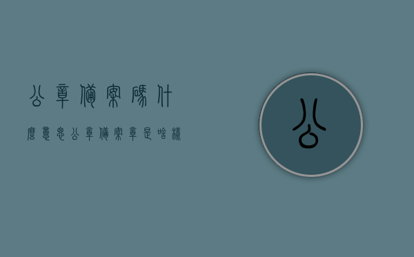 公章备案码什么意思（公章备案章是啥样的），关于公章备案码的解释及公章备案章样式介绍，关于公章备案码与公章备案章的解释及样式介绍，公章备案码与备案章详解，概念、解释及样式介绍