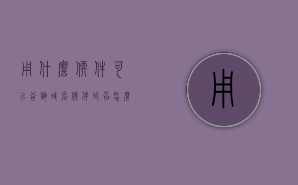 用什么软件可以查询域名（软件域名怎么看），如何查询域名？软件域名查看指南