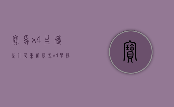 宝马x4主机是什么东西（宝马x4主机是什么东西啊），宝马X4主机功能及介绍