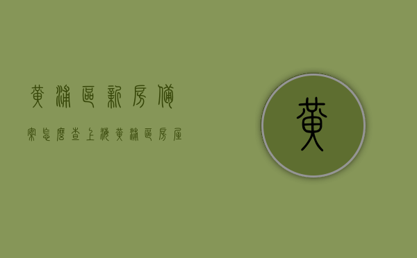 黄浦区新房备案怎么查（上海黄浦区房屋），上海黄浦区新房备案查询指南，上海黄浦区新房备案查询指南，如何查询黄浦区房屋备案信息，上海黄浦区新房备案查询指南，如何查询黄浦区房屋备案信息