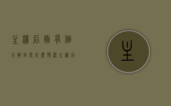 主机后面有个小按钮是什么情况（主机后面有个小按钮是什么情况啊），主机背后神秘小按钮揭秘，功能与用途探究，主机背后神秘小按钮，功能及用途深度解析 第1张