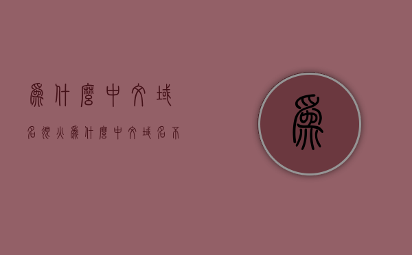 为什么中文域名很火（为什么中文域名不流行），中文域名的火热与争议，为何成为焦点？