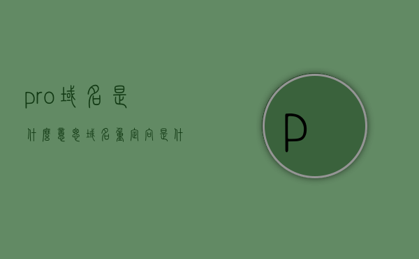 pro域名是什么意思（域名重定向是什么意思），Pro域名及域名重定向解析