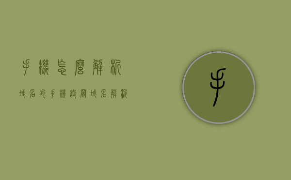 手机怎么解析域名的（手机设置域名解析），手机域名解析详解，如何设置与解析域名？，手机域名解析详解，设置与解析域名的步骤与原理，手机域名解析详解，设置与解析步骤、原理及操作指南