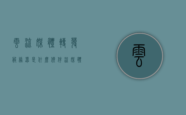 云流媒体转发服务器是什么软件（流媒体转发服务器搭建），云流媒体转发服务器介绍及搭建指南，云流媒体转发服务器介绍、搭建指南与功能解析 第1张