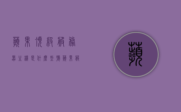 苹果顶级服务器主机是什么型号（苹果服务器叫什么），苹果顶级服务器主机的型号及名称概述