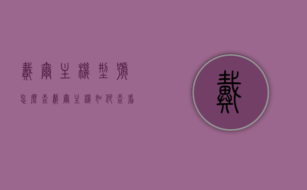 戴尔主机型号怎么查（戴尔主机如何查看型号），戴尔主机型号查询方法指南，戴尔主机型号查询方法详解，如何查看戴尔主机型号指南