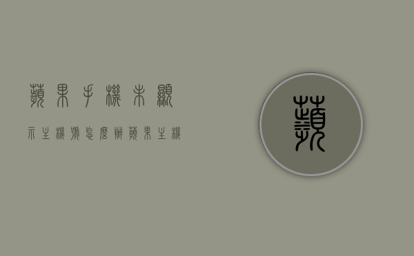 苹果手机未显示主机号怎么办（苹果主机号码未显示），苹果手机未显示主机号解决方法，解决苹果主机号码未显示问题攻略