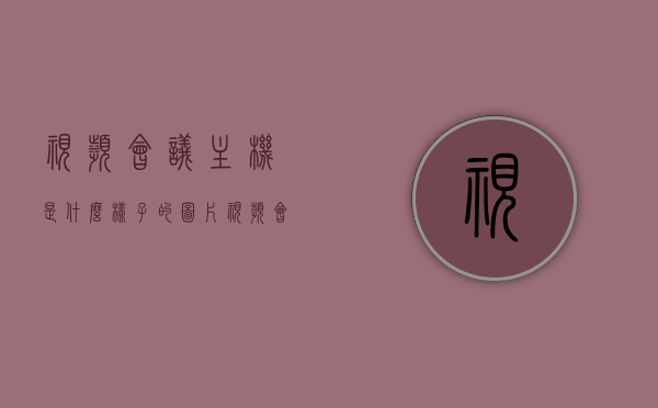 视频会议主机是什么样子的图片（视频会议主机套什么定额），视频会议主机介绍及图片展示，定额配套解析