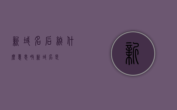新域名后缀什么意思呀（新域名是），新域名后缀详解，含义与特点解析