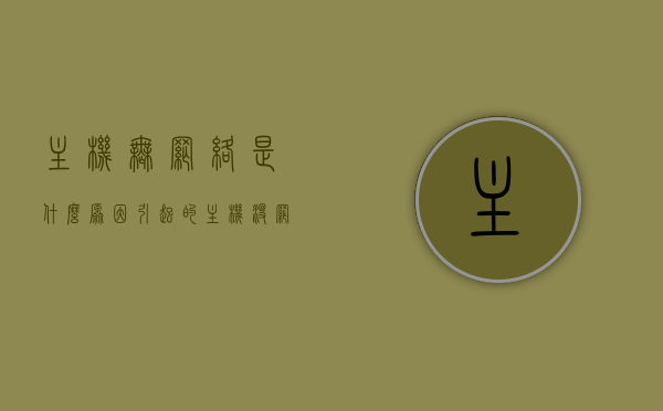 主机无网络是什么原因引起的（主机没网怎么办），主机无网络原因及解决策略解析