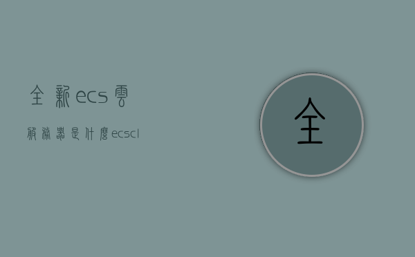 全新ecs云服务器是什么（ecs cloud），全新ECS云服务器解析，什么是ECS云？