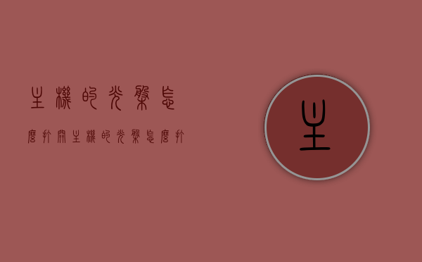 主机的光盘怎么打开（主机的光盘怎么打开视频），如何打开主机光盘？详细步骤及视频指南，如何打开主机光盘？详细步骤及视频教程，光盘开启方法与操作指南，如何打开主机光盘？详细步骤及视频教程与操作指南全攻略，如何打开主机光盘？详细步骤、视频教程与操作指南全攻略