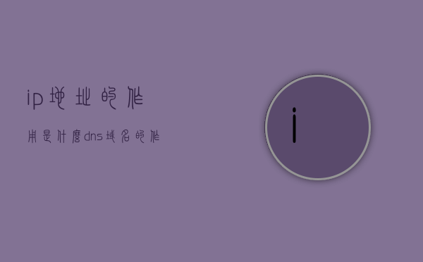 ip地址的作用是什么dns域名的作用（ip 地址的作用是什么?），IP地址与DNS域名解析，揭秘网络连接的基石作用与解析机制，揭秘IP地址与DNS域名的基石作用及解析机制，网络连接的关键要素解析
