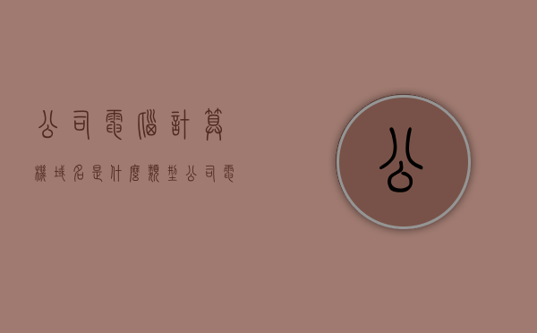 公司电脑计算机域名是什么类型（公司电脑加域名），公司电脑计算机域名解析类型解析（域名类型详解）