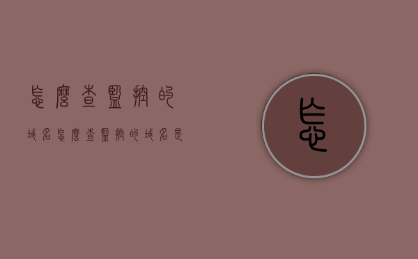 怎么查监控的域名（怎么查监控的域名是多少），如何查找监控域名？监控域名查询方法解析，监控域名查询方法与解析，如何查找监控的域名？，监控域名查询解析指南，如何查找与解析监控域名？，监控域名查询解析指南，查找与解析监控域名的实用方法解析