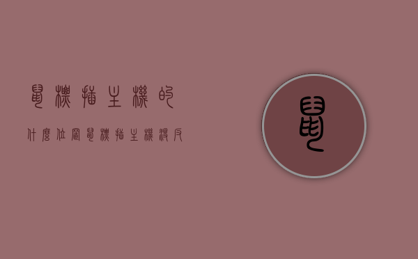 鼠标插主机的什么位置（鼠标插主机没反应怎么回事），鼠标连接问题解析，插入位置与无反应故障处理