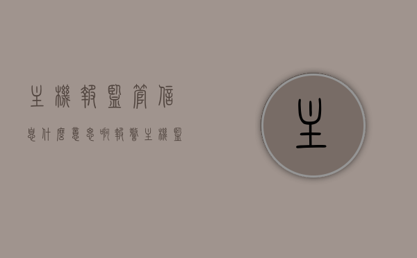 主机报监管信息什么意思啊（报警主机监管是什么意思），主机报监管信息解析，报警主机监管的含义与重要性
