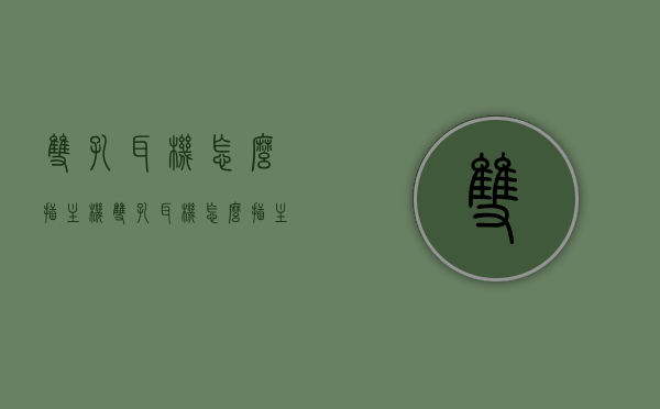 双孔耳机怎么插主机（双孔耳机怎么插主机上），双孔耳机连接主机教程