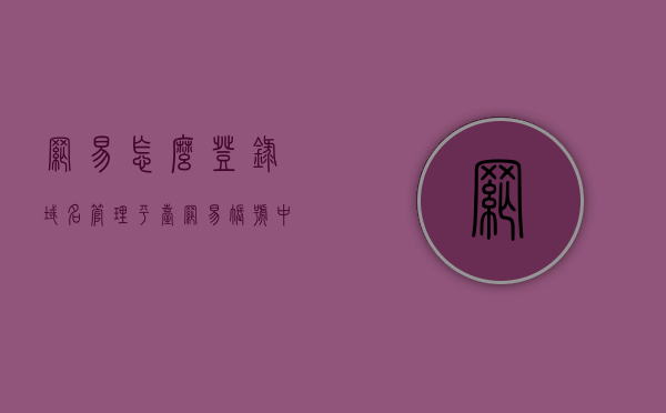 网易怎么登录域名管理平台（网易账号中心网页版怎么进），网易域名管理平台登录指南，如何进入网易账号中心网页版管理域名？