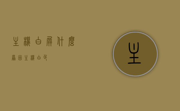 主机白屏什么原因（主机白色），主机白屏原因解析，白色主机出现白屏故障的原因探讨，主机白屏故障解析，白色主机白屏原因探讨，白色主机白屏故障深度解析，原因与解决方案，白色主机白屏故障深度解析及原因与解决方案探讨，白色主机白屏故障深度解析，原因、解决方案与探讨，白色主机白屏故障深度解析及解决方案探讨