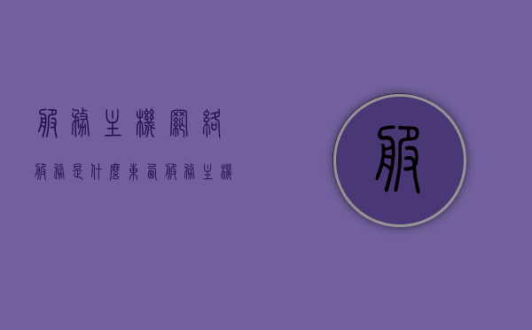 服务主机网络服务是什么东西（服务主机是干嘛的），服务主机网络服务解析，功能及应用探讨，服务主机网络服务解析，功能、应用及探讨其作用，服务主机网络服务详解，功能、应用及其作用探讨
