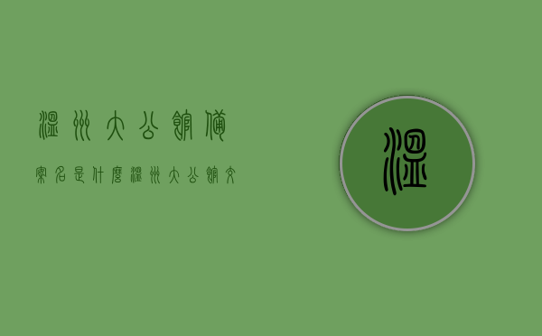 温州大公馆备案名是什么（温州大公馆交付时间），温州大公馆的备案名及交付时间解析，温州大公馆备案名及交付时间详解，温州大公馆备案名与交付时间详解，揭秘真实信息与动态解析，温州大公馆备案名及交付时间揭秘，真实信息与动态解析详解