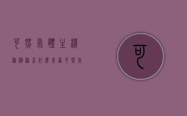 可燃气体主机检测检查什么东西（可燃气体检测仪用途与作用），可燃气体主机检测重点检查内容及其检测仪的用途与作用解析，可燃气体主机检测详解，检查重点内容与检测仪的用途及作用解析，可燃气体主机检测详解，重点检查内容与检测仪的用途及作用解析
