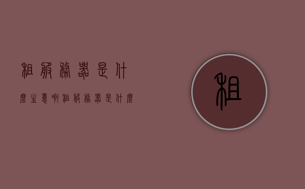租服务器是什么生意啊（租服务器是什么生意啊怎么赚钱），租服务器业务的运营模式与盈利途径解析
