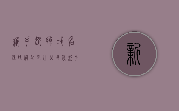 新手选择域名注册网站有什么建议（新手选择域名注册网站有什么建议吗），新手选择域名注册网站的指南与建议，新手选择域名注册网站的指南，建议和注意事项，新手选择域名注册网站的指南，建议与注意事项