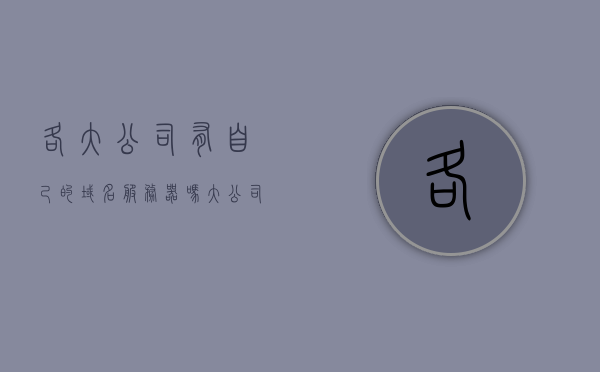 各大公司有自己的域名服务器吗（大公司的域名在哪里注册的），大公司的域名注册与域名服务器，揭秘背后的网络架构，（注，标题可根据实际需求进行适当调整）