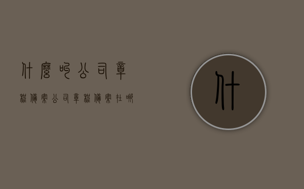 什么叫公司章程备案（公司章程备案在哪里查询），关于公司章程备案的解析及查询指南，公司章程备案详解与查询指南，了解备案流程，快速查询备案信息，公司章程备案解析与查询指南，流程、查询地点及详解，公司章程备案解析与查询指南，流程、地点及详解，公司章程备案解析与查询指南，流程、地点详解及快速查询方法